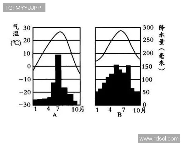 赛后分析：西安排球队与上海排球队的战术意识与表现对比